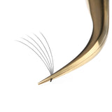 5D Premade Fans Volume Gold Tweezers NZ