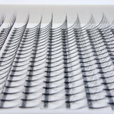 Close up of D Curl Lash Trays NZ