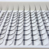 Close up of D Curl Lash Trays NZ