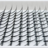 Eyelash Extension Supplies NZ - 7D Lash Trays