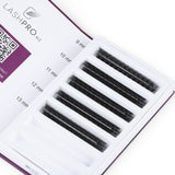 1500 Pack Pro Made Volume Fans Lash Strips Mixed Trays NZ