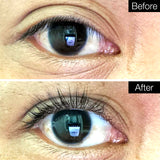 Iconsign Lash Lift Kit Before After Photos NZ