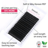 Korean Silk Lash Trays For Eyelash Extensions Mixed Length D Curl NZ
