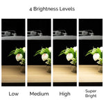 LED Task Lamp Adjustable Brightness NZ