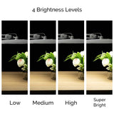 LED Task Lamp Adjustable Brightness NZ